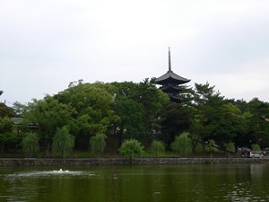 奈良公園