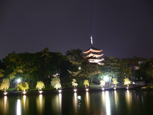 奈良公園